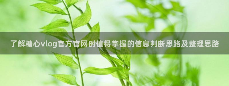 糖心免费在线观看：了解糖心vlog官方官网时值得掌握的信息判断思路及整理思路
