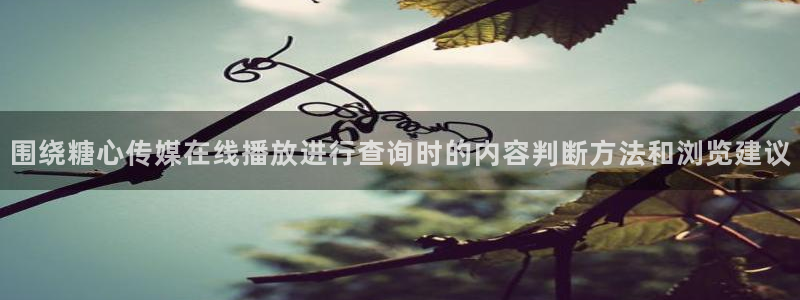 糖心vlog.