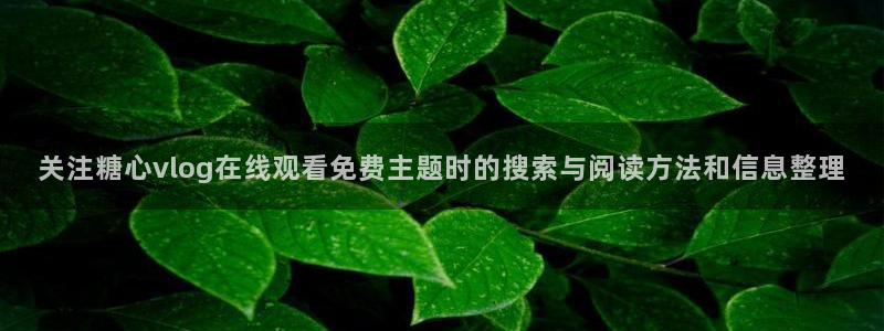 糖心vlog网页版:关注糖心vlog在线观看免费主题时的搜索与阅读方法和信息整理