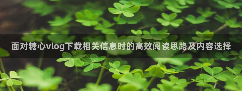 91糖心vlog:面对糖心vlog下载相关信息时的高效阅读思路及内容选择
