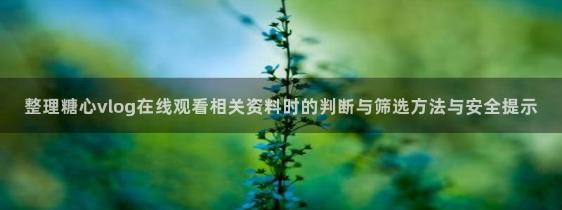 糖心官网免费观看