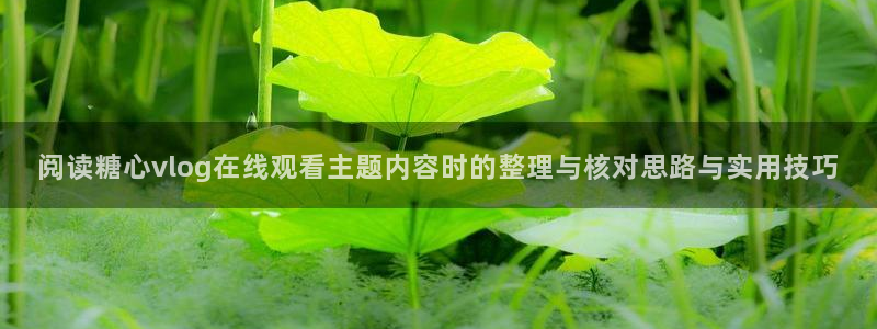 糖心官网入口:阅读糖心vlog在线观看主题内容时的整理与核对思路与实用技巧